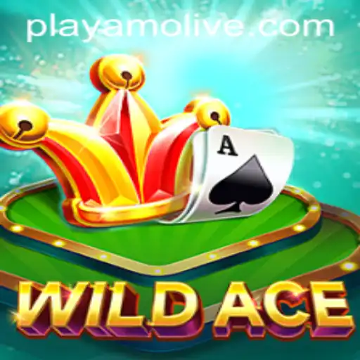 WildAce: A Thrilling New Adventure with PlayAmo